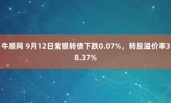 牛顺网 9月12日紫银转债下跌0.07%，转股溢价率38.37%