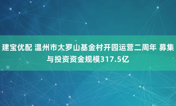 建宝优配 温州市大罗山基金村开园运营二周年 募集与投资资金规模317.5亿