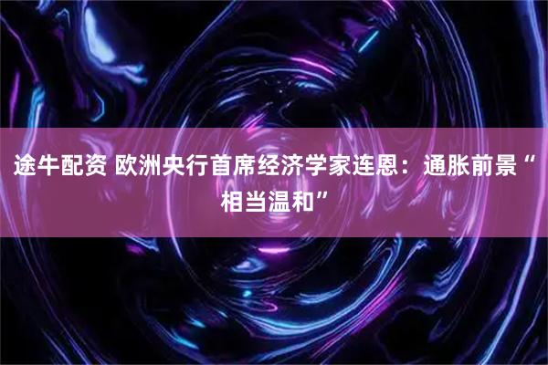 途牛配资 欧洲央行首席经济学家连恩：通胀前景“相当温和”